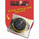 Rammer 108, 108 PIN, 108 Flange, IN8 Seal Kit