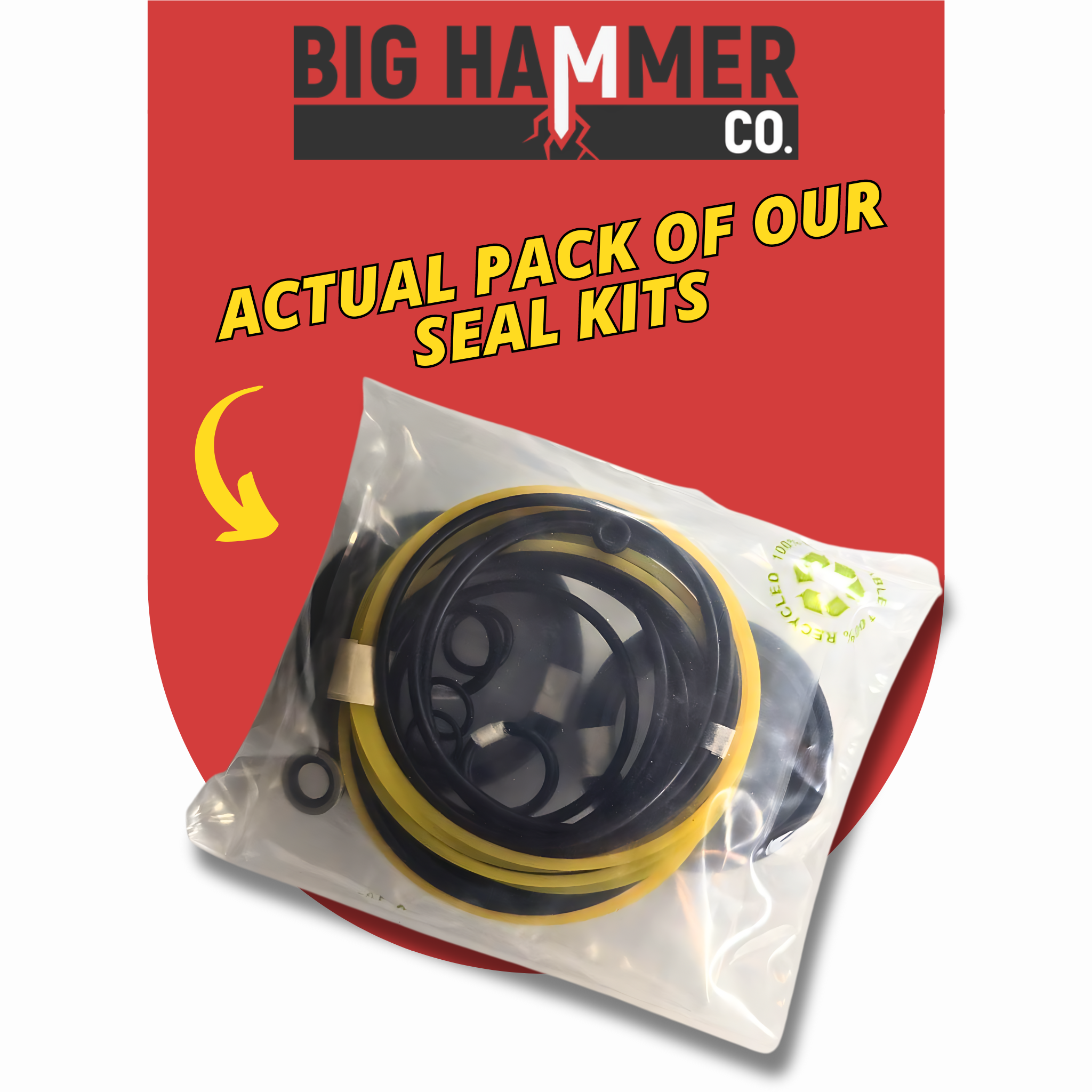 Rammer S24 Seal Kit